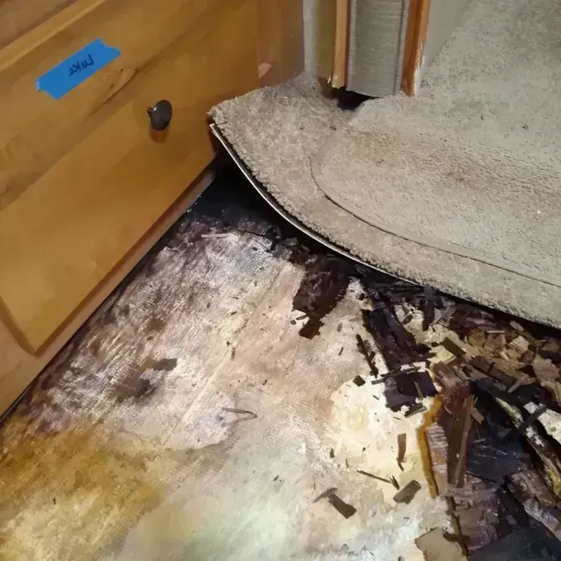 Wood Floor Water Damage in Lafayette County, AR